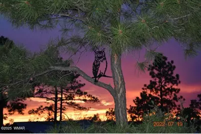 1491 W Snow Creek Trail, Show Low, AZ 85901 - Photo 55