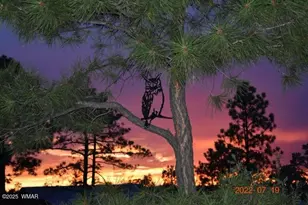 1491 W Snow Creek Trail, Show Low, AZ 85901 - Photo 55