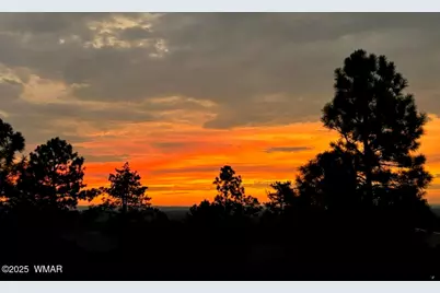 1491 W Snow Creek Trail, Show Low, AZ 85901 - Photo 23