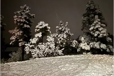 1491 W Snow Creek Trail, Show Low, AZ 85901 - Photo 51