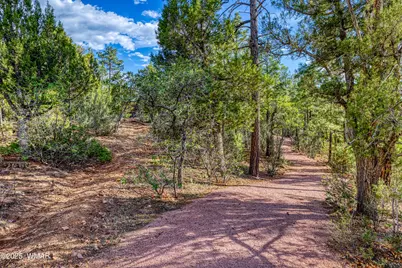 1491 W Snow Creek Trail, Show Low, AZ 85901 - Photo 43