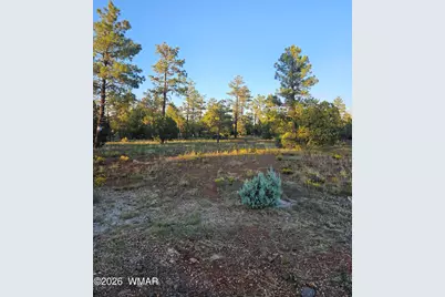 4843 W Bison Trail, Lakeside, AZ 85929 - Photo 3