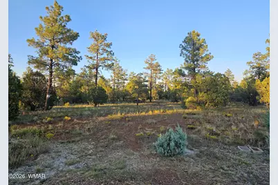 4843 W Bison Trail, Lakeside, AZ 85929 - Photo 9