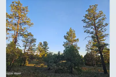 4843 W Bison Trail, Lakeside, AZ 85929 - Photo 7