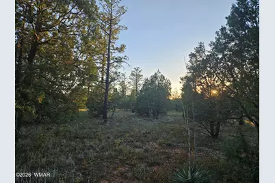 4843 W Bison Trail, Lakeside, AZ 85929 - Photo 7