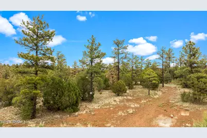 4843 W Bison Trail, Lakeside, AZ 85929 - Photo 5