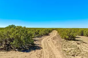 128 Co Rd 8061, Concho, AZ 85924 - Photo 1