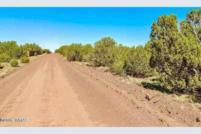 128 Co Rd 8061, Concho, AZ 85924 - Photo 3