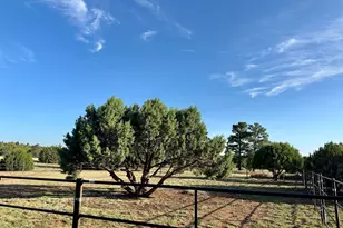 1898 Rocky Ln, Show Low, AZ 85901 - Photo 57