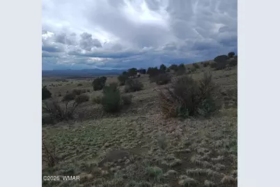 3 County Road  N3365, Vernon, AZ 85940 - Photo 5