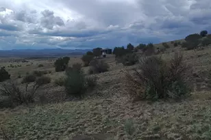 3 County Road N3365, Vernon, AZ 85940 - Photo 5