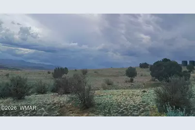 3 County Road  N3365, Vernon, AZ 85940 - Photo 19