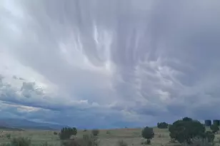 3 County Road N3365, Vernon, AZ 85940 - Photo 19