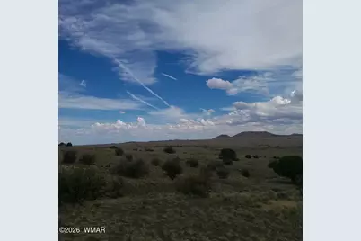 3 County Road  N3365, Vernon, AZ 85940 - Photo 41