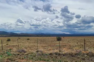 3 County Road N3365, Vernon, AZ 85940 - Photo 21