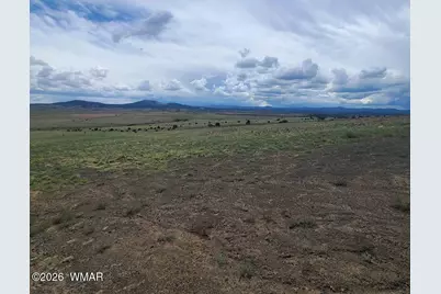 3 County Road  N3365, Vernon, AZ 85940 - Photo 15