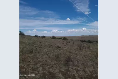 3 County Road  N3365, Vernon, AZ 85940 - Photo 35