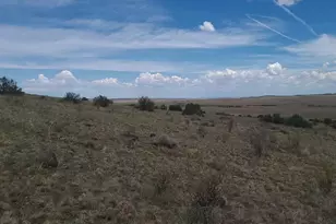 3 County Road N3365, Vernon, AZ 85940 - Photo 35