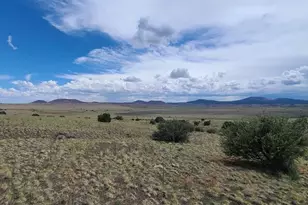 3 County Road N3365, Vernon, AZ 85940 - Photo 1