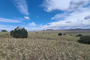 3 County Road N3365, Vernon, AZ 85940 - Photo 19