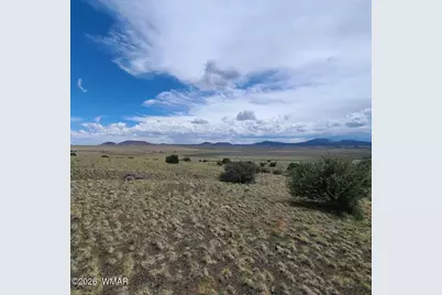 3 County Road  N3365, Vernon, AZ 85940 - Photo 3