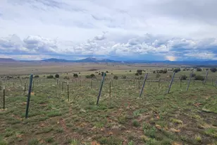 3 County Road N3365, Vernon, AZ 85940 - Photo 45