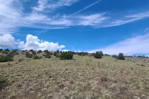3 County Road N3365, Vernon, AZ 85940 - Photo 1
