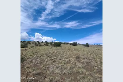 3 County Road  N3365, Vernon, AZ 85940 - Photo 17