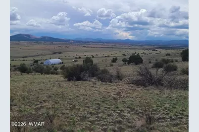 3 County Road  N3365, Vernon, AZ 85940 - Photo 5