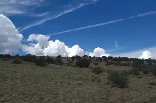 3 County Road N3365, Vernon, AZ 85940 - Photo 41