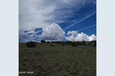 3 County Road  N3365, Vernon, AZ 85940 - Photo 39