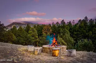 15 Co Rd 2026, Nutrioso, AZ 85932 - Photo 7