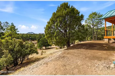 15 Co Rd 2026, Nutrioso, AZ 85932 - Photo 11