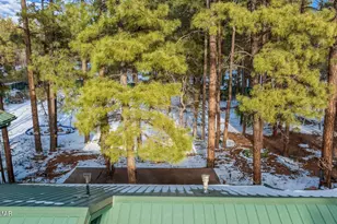 2616 Gooseleg Way, Lakeside, AZ 85929 - Photo 9