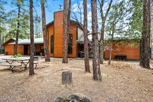 2616 Gooseleg Way, Lakeside, AZ 85929 - Photo 17