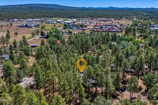 950 Cooper Ln, Lakeside, AZ 85929 - Photo 5