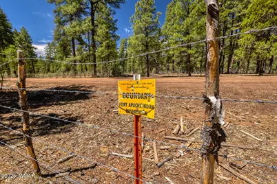 950 Cooper Lane, Lakeside, AZ 85929 - Photo 33