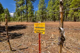 950 Cooper Ln, Lakeside, AZ 85929 - Photo 33