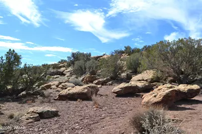 77 N8543, Concho, AZ 85924 - Photo 49