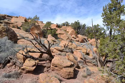 77 N8543, Concho, AZ 85924 - Photo 43