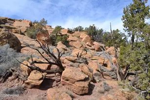 77 N8543, Concho, AZ 85924 - Photo 43