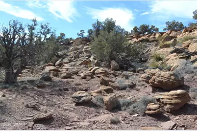 77 N8543, Concho, AZ 85924 - Photo 3