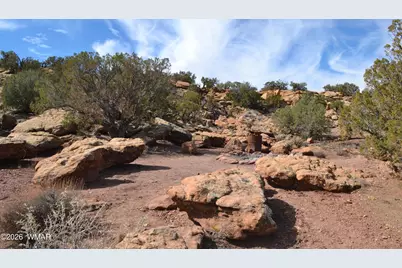 77 N8543, Concho, AZ 85924 - Photo 11