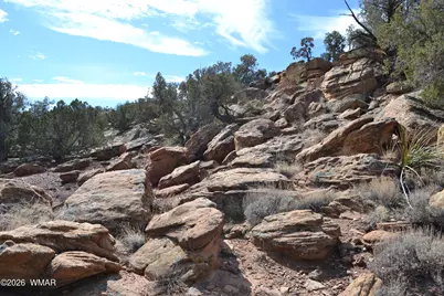 77 N8543, Concho, AZ 85924 - Photo 5