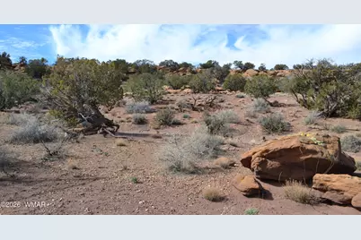 77 N8543, Concho, AZ 85924 - Photo 39