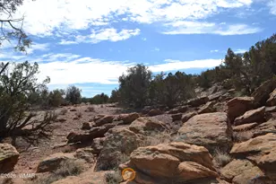 77 N8543, Concho, AZ 85924 - Photo 45