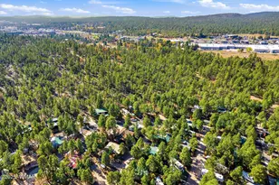 4340 S Mogollon Trail, Show Low, AZ 85901 - Photo 31