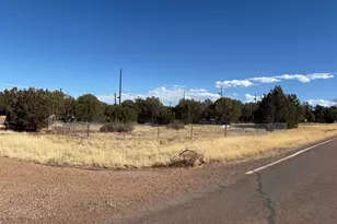 8263 Tahoe Pl, Show Low, AZ 85901 - Photo 1