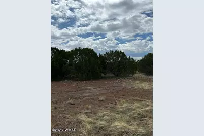 Tbd Cr N3109 &amp; N3102, Vernon, AZ 85940 - Photo 3