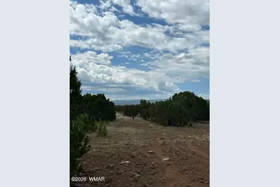 Tbd Cr N3109 &amp; N3102, Vernon, AZ 85940 - Photo 7